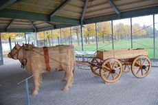 Xanten - Lastenwagen 2.JPG